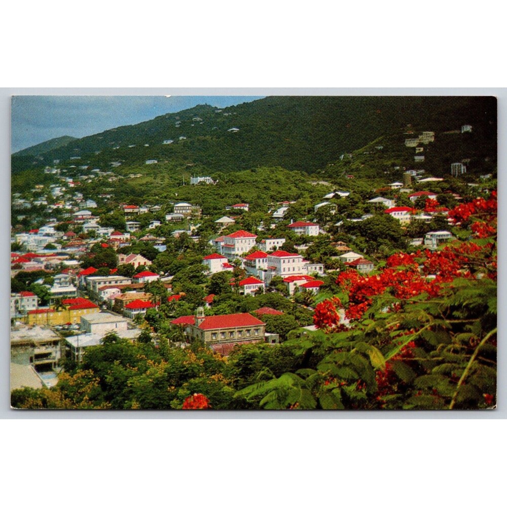 Vtg St. Thomas USVI Postcard Bluebeard's Castle Herbert Miller Government House